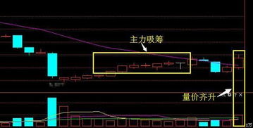 股票低开意味着什么