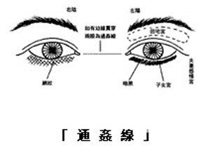 眼神 眼形 眼睛面相图解 5