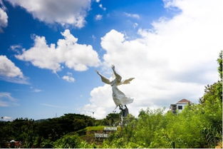 前任攻略3 取景地在哪 狮子航空带你直飞海豚湾 