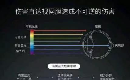 LCD LED和OLED屏相比,哪种更伤眼睛