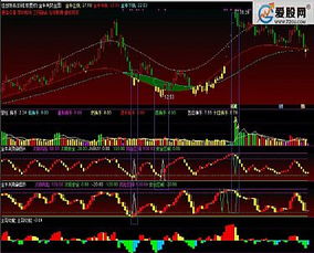 通达信公式 下载列表 精品通达信 大智慧 同花顺 飞狐股票公式 常用股票软件下载 奇爱股票网 