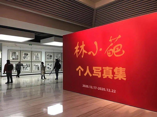 小编要开个人精品画展览