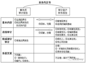 财务报表审计的总目标是什么?