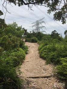 北山游步道小环未命名