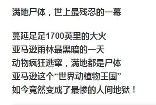 南半球被烧了21天 这是全世界最残忍的一幕...