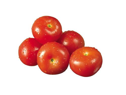 西红柿代表什么意思 