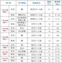 下雪 阴天 春节这几天的天气全在这里啦