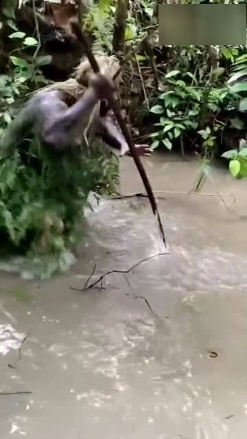 木棍抓鱼成功,这手法超厉害 