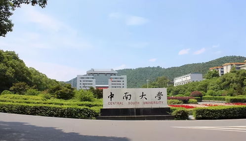 中南大学专业排名最好的专业有哪些