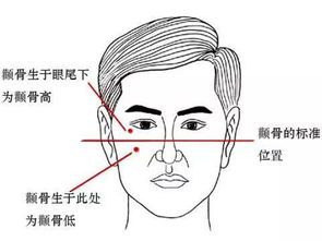 财旺事业旺的面相特征 你中了几个 