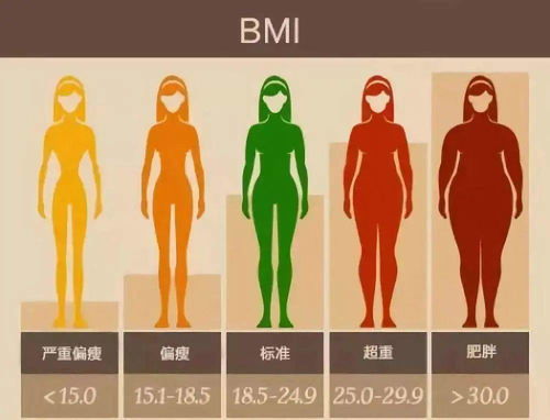女性bmi图片，女性bmi指数标准是多少