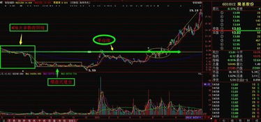 为什么建仓时股价会沿着10日均线上扬 而不是其他均线