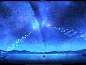 求一些流星划过天空的或是星空动漫图片,类似这样的 