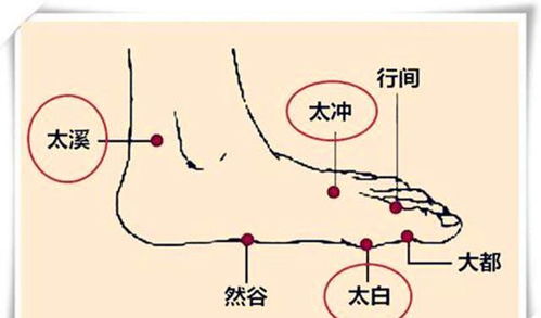 睡前泡泡脚会让你做美梦,知道为什么吗 今天就揭示这个道理