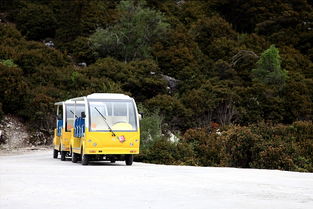 龙虎山观光车路线(龙虎山附近免费停车场有哪些车)