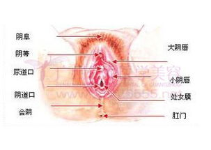 微创无痕处女膜修复术仅10分钟就可让你完美如处子