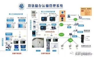 食品冷链物流市场发展现状