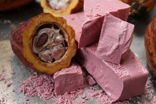 瑞士嘉利宝集团研发出第一款天然粉红巧克力 红宝石 