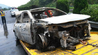 杭州女子高速上开车起火 惊人决定 带着儿子跳车 