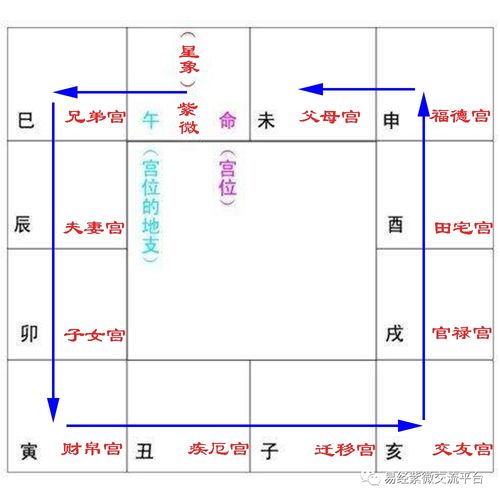 紫微斗数十二宫化忌的含义