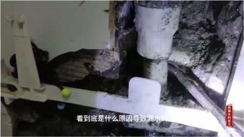 一条作废的水管漏水,导致家里损失严重,找到漏水点不容易 