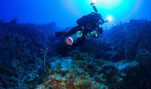 那些深海里的生物,如何做到在高压强环境下生存的