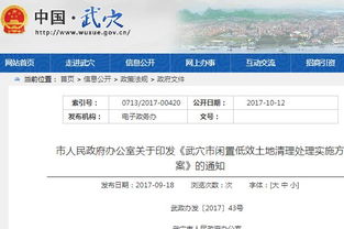 关于 武穴市闲置低效土地清理处理实施方案 全文