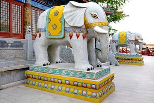 哪种形态的石雕大象可以起到招财聚财的功用