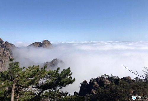 黄山一日游