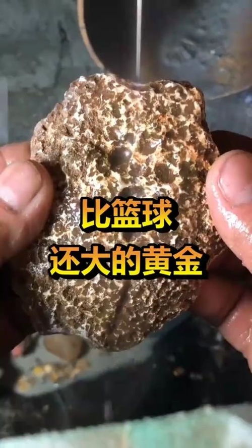 世界上运气最好的人,出门寻宝,遇见比篮球还大的黄金 