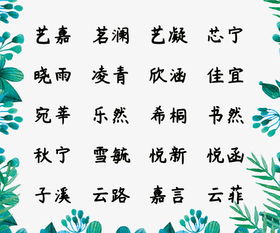 名字蕴藏着美好的寓意,气质独特的宝宝名字