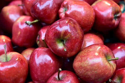 苹果的营养及对人体的益处