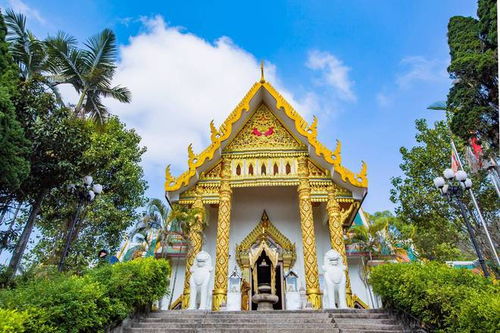 潮州开元寺泰佛殿,潮汕距离泰国最近的地方,吸引了众多游客前来