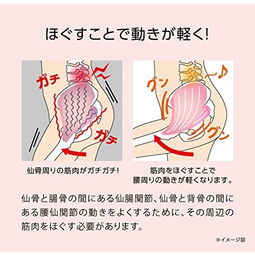 仙骨 搜狗图片搜索