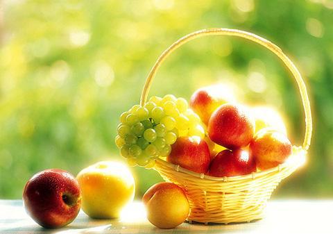 摩羯座的代表什么水果，摩羯座的专属水果(摩羯座最能代表的动物)
