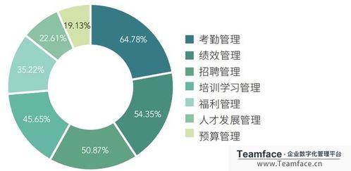 什么是HR系统 怎么建立HR人力资源管理系统