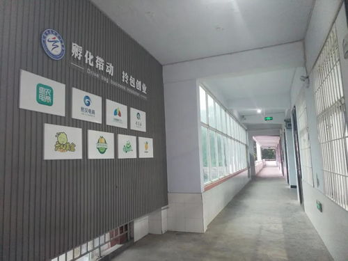 关于河南省灵宝市免费开展职业技能培训的公告 第二期