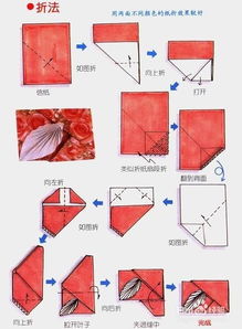 折纸方法 一片叶子 信纸 