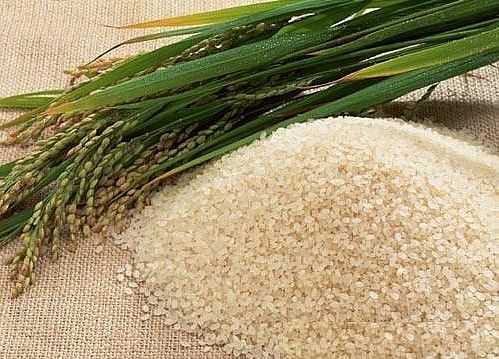 为什么便宜的大米反而很香 网购的大米为什么便宜