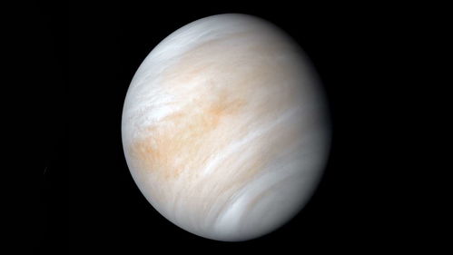 金星木星有相位是什么意思