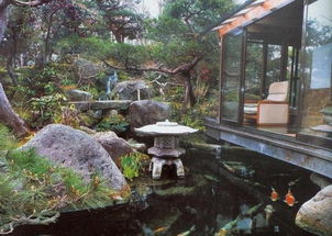 如何在自己家院子中设计一个漂亮的锦鲤池塘
