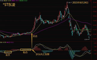 什么是macd二次底背离？