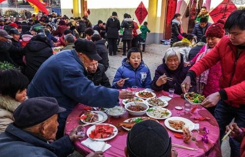 城市人看不懂,农村酒席环境很不卫生,为什么很少有人吃坏肚子