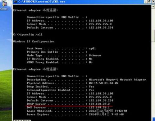 dhcp和pppoe区别哪个稳定(家用wifi是用dhcp还是pppoe)