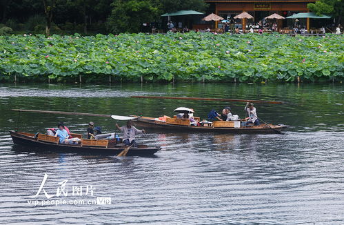 旅游景点排行榜夏天,杭州适合夏天游玩的景点,夏天西湖旅游路线推荐