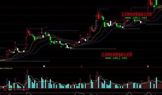 通达信炒股软件如何查找到鳄鱼线指标？哪个软件有鳄鱼线指标？