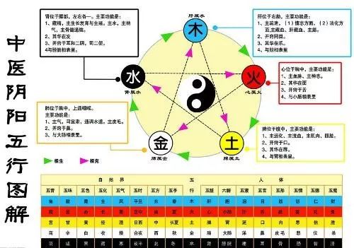 中医 大战 科学 ,一场撕扯百年的无果之争