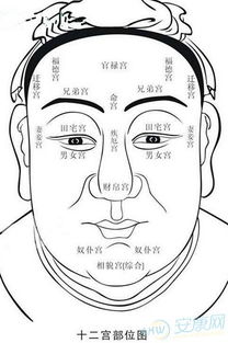 麻衣相术图解大全