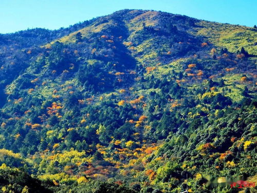 四川螺髻山景区 暂停接待旅行团队,中高风险地区游客建议不进景区