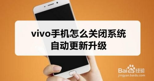 vivo手机怎么关闭自动更新(vivo手机关闭系统更新提醒)